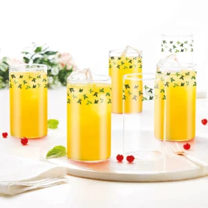 Borosil Vision Sage Glass | Set of 6