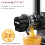 my-borosil-juicers-nutririch-cold-press-juicer-31519885197450